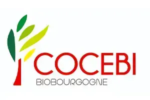 Cocebi